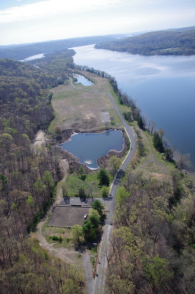 Aerial view of the site from the north showing trees, the access road, and the river